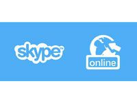 Устранение проблем с соединением в Skype для бизнеса